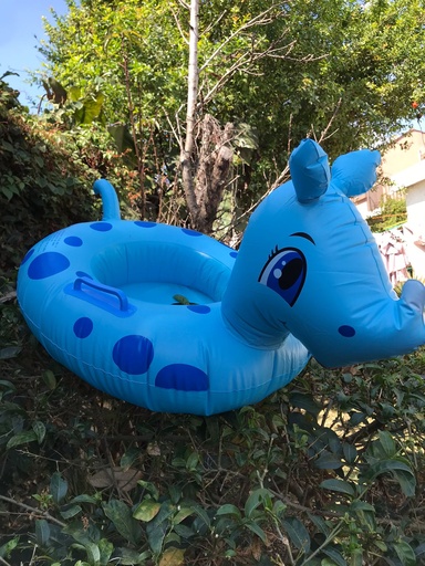 INFLABLE CELESTE 1433